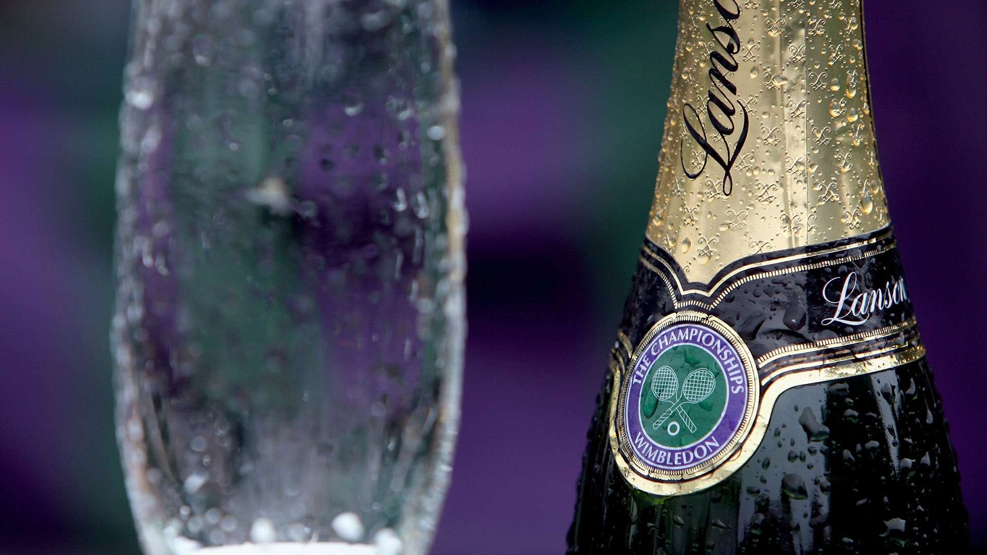 球迷们不禁 球迷们不禁