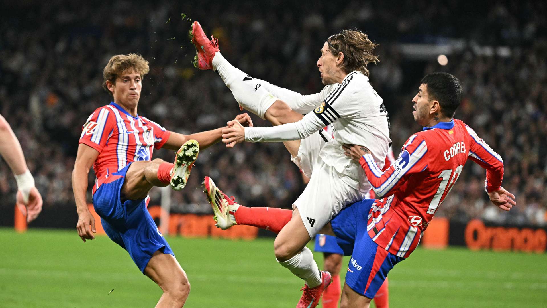 无论是个人 无论是个人